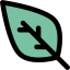 Leaf icon 64x64