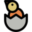 Chick icon 64x64