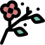 Blossom icon 64x64