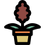 Hyacinth icon 64x64