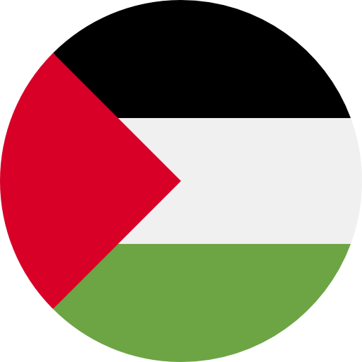 Palestine icon