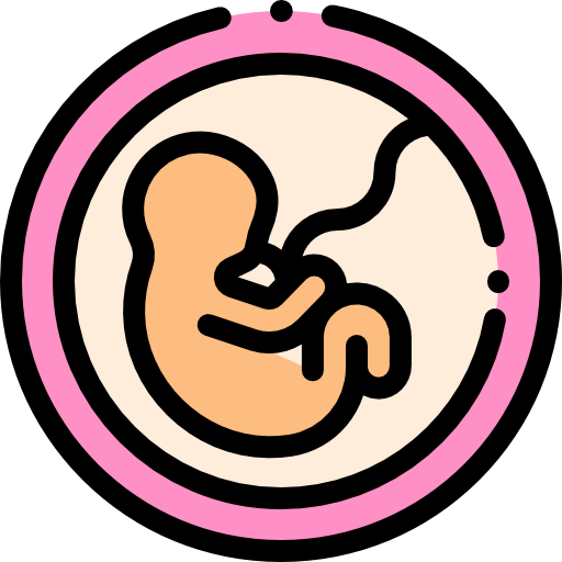 Fetus icon