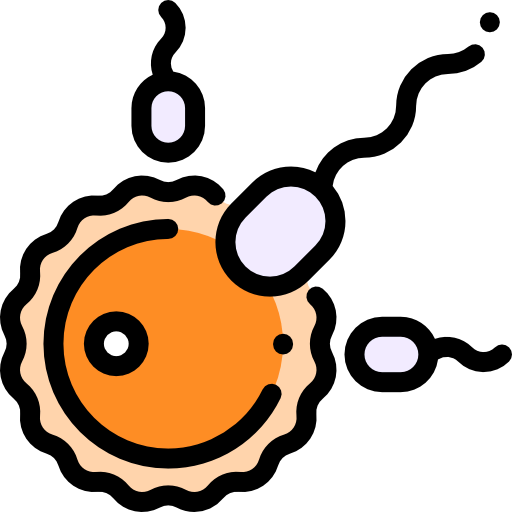 Fertilization 상