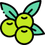 Olives icon 64x64