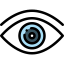 Eye icône 64x64