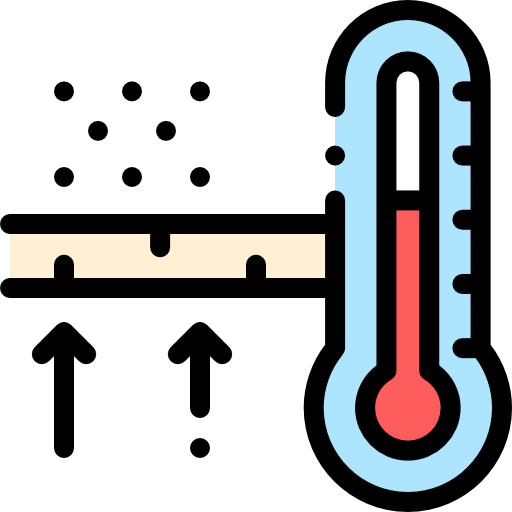 Temperature icon