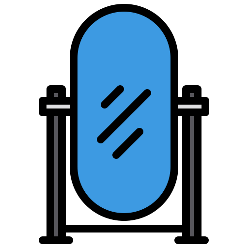 Mirror icon