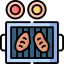 Yakiniku icon 64x64