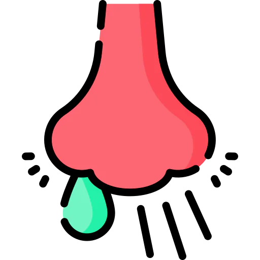 Snot icon