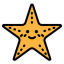 Starfish icon 64x64