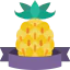 Pineapple icon 64x64