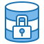 Data security icon 64x64