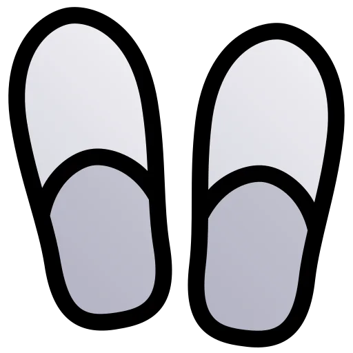 Flip flops icon