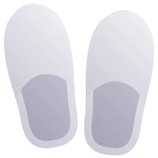 Flip flops icon