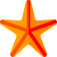 Starfish icon 64x64