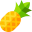 Pineapple icon 64x64