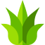 Agave icon 64x64