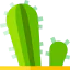 Cactus icon 64x64