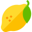 Lime icon 64x64