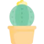Cactus icon 64x64
