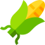 Corn icon 64x64
