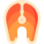 Salmon icon 64x64