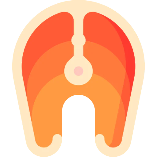 Salmon icon