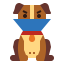 Elizabethan collar icon 64x64