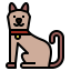 Cat icon 64x64