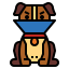 Elizabethan collar icon 64x64