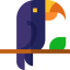 Toucan icon 64x64
