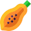 Papaya icon 64x64