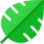 Leaf icon 64x64