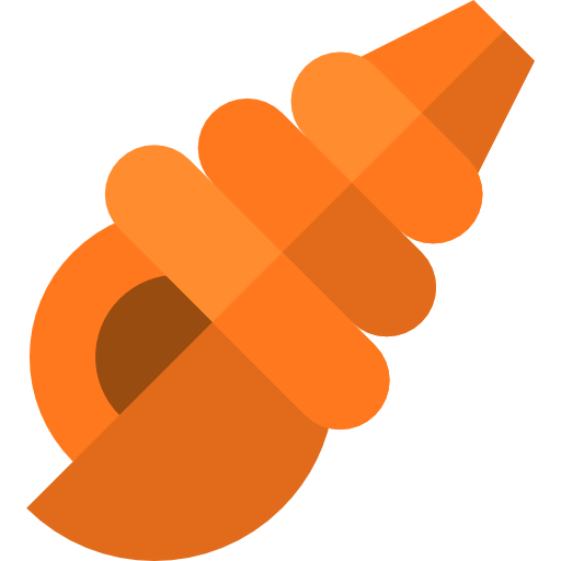 Seashell icon