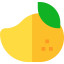 Mango icon 64x64