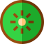 Kiwi icon 64x64