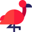 Flamingo icon 64x64