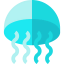 Medusa icon 64x64
