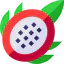 Dragon fruit icon 64x64