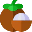 Mangosteen icon 64x64