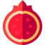 Pomegranate icon 64x64