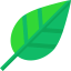 Leaf icon 64x64