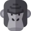 Gorilla Ikona 64x64