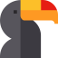 Toucan icône 64x64