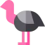 Ostrich Symbol 64x64