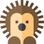 Hedgehog icon 64x64