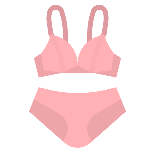 Bra icon