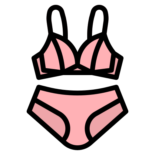 Bra icon