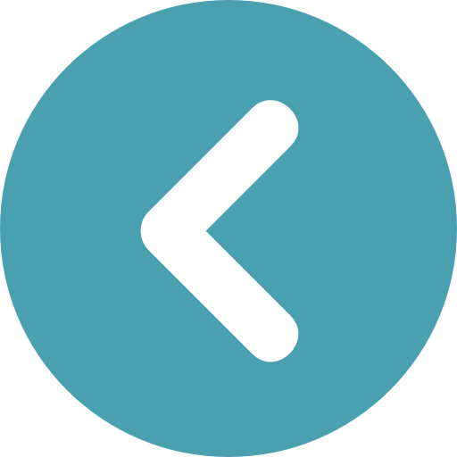 Previous icon