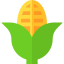 Corn icon 64x64